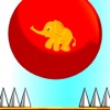A Escape Jump Ball : Collect coin of in the Safari