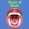 Taste Of Buds