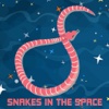 Snakes In The Space