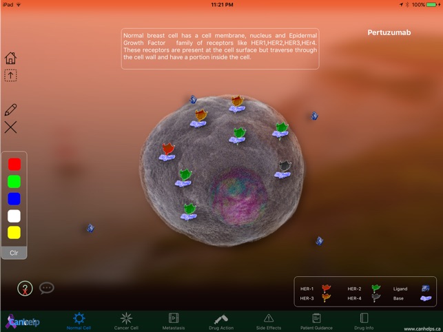 Pertuzumab(圖1)-速報App