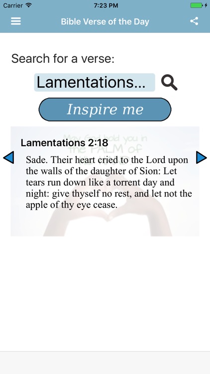 Bible Verse of the Day Douay-Rheims Bible screenshot-4