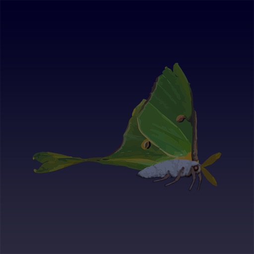 Forest Flutter Icon