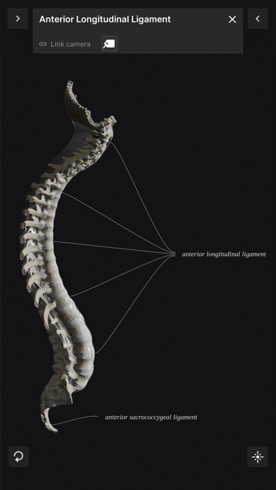 BiomechanicsoftheSpineLite