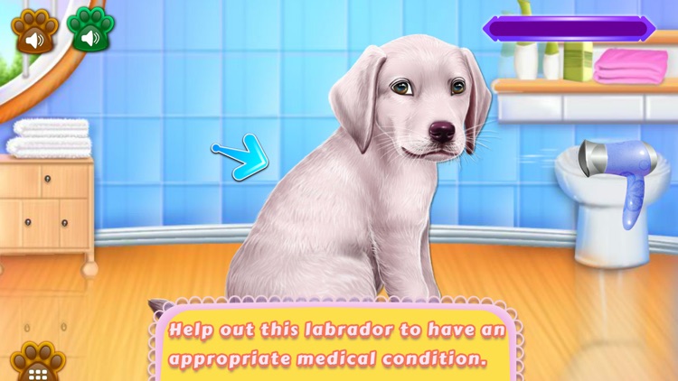 Labrador Puppy Day Care screenshot-4