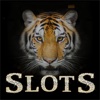 Big cats slots & Casino lion vegas spin