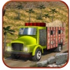 Pak Hill Truck Driver 2017