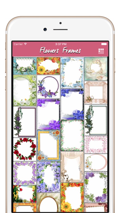 Flowers Photo Frames & Flowers Borders Effects