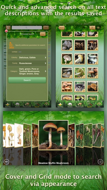 Mushrooms: Great Encyclopedia of Fungi screenshot-3