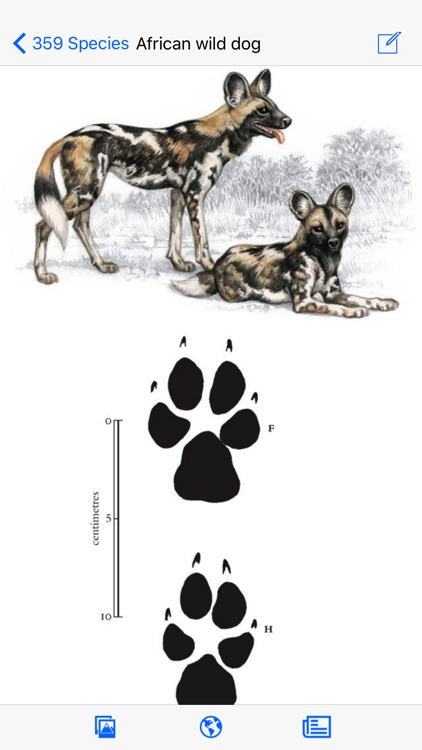 Mammals of the Southern African Subregion screenshot-3