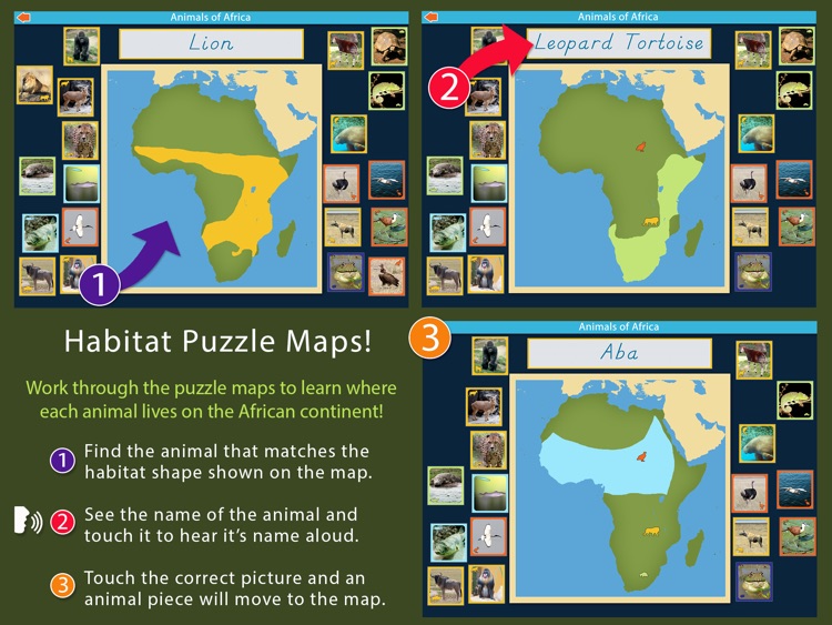 Animals of Africa - Montessori Geography