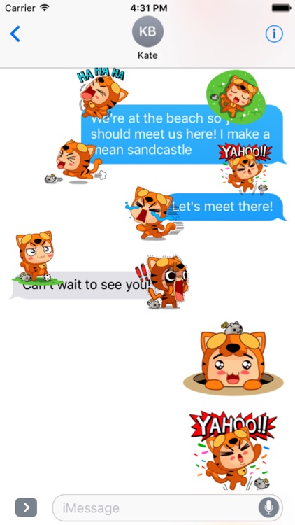 Funny Kitty