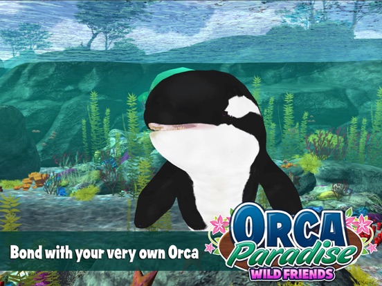Orca Paradise - All Access на iPad