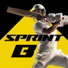 SprintB - Cricket All Stars