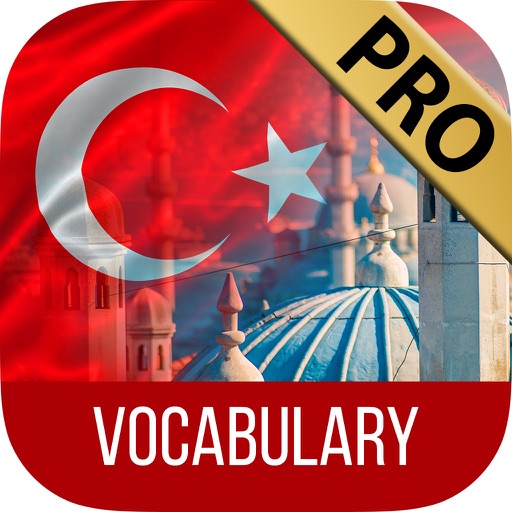 Learn turkish vocabulary and study languages - Pro icon