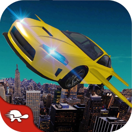 Flying Car Driving Simulator