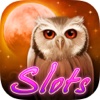 Slots - Owl Moon Slots & Multiline Spins