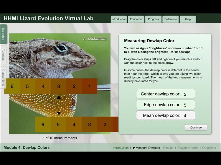 Lizard Evolution Virtual Lab screenshot-4