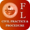 Florida Civil Practice And Procedure