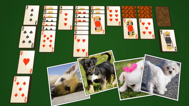 Solitaire Puppies(圖5)-速報App