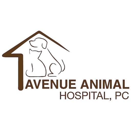 Avenue Animal Hospital