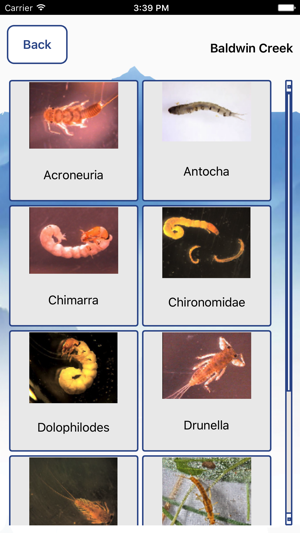 MacroInvertebrates(圖2)-速報App