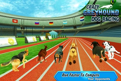Crazy Greyhound Dog Racing screenshot 3