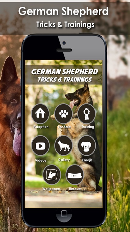 K9 German Shepherds Watch Dogs - Rescue Dogs Prem