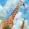 Kids Jigsaw Puzzles Zoo Giraffe Game Education