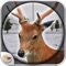 Mountain Deer Hunting Game - Pro