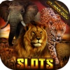 Safari Billionaire Slot Machines: Hunter Slots 777