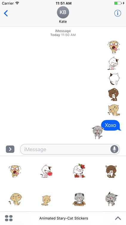 Animated Stary Cat Stickers For iMessage screenshot-3