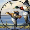 A duck hunting: Animal sniper game