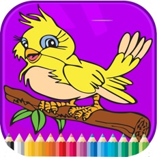 Activities of Bird Coloring Book - Activities for Kid