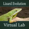 Lizard Evolution Virtual Lab