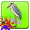 Animals Coloring Book Game For Toddler And Bird