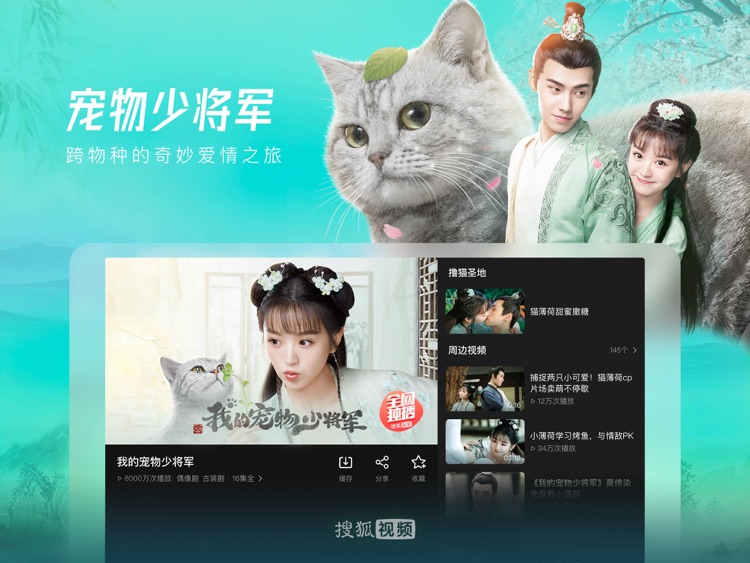 搜狐视频HD-继承之战 全网热播 screenshot-6