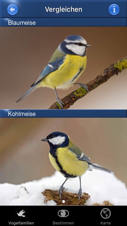 BirdId - Garden Birds of Germany screenshot-3