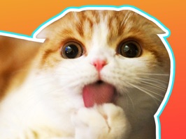 Waffles the Cat: Stickers