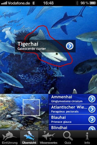 Sharks of the World screenshot 2