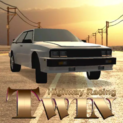 Twin Highway Racing Читы