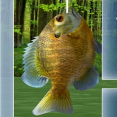 Activities of Wild Fishing King 3D Simulator: Flick Fish Frenzy