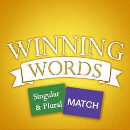 Singular and Plural Match