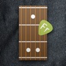 Get Fretter - Chordfinder Lite for iOS, iPhone, iPad Aso Report