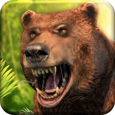 Activities of Bear Jungle Attack