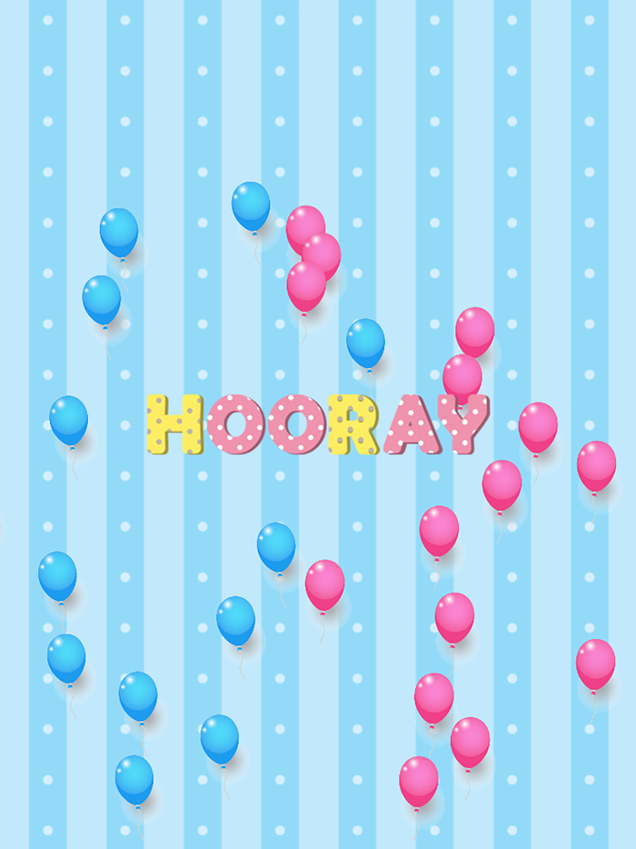 Dinosaur Shadow Puzzle