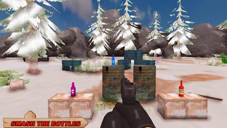 Snow Bottle Shooting screenshot-4