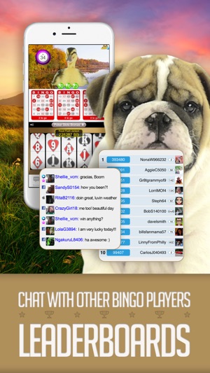 ANIMAL BINGO - Live Animal Bingo & Slots!(圖2)-速報App