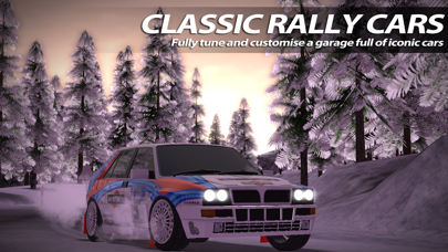 Screenshot from Rush Rally 2