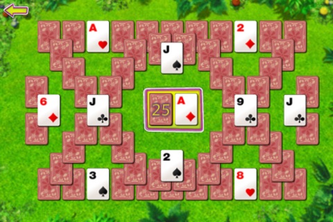 Summer Solitaire The Card Game screenshot 3