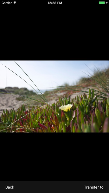 ShieldBox screenshot-4